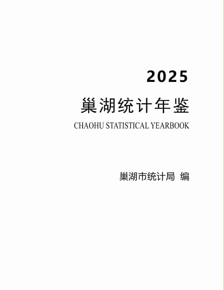 2025年巢湖统计年鉴封皮