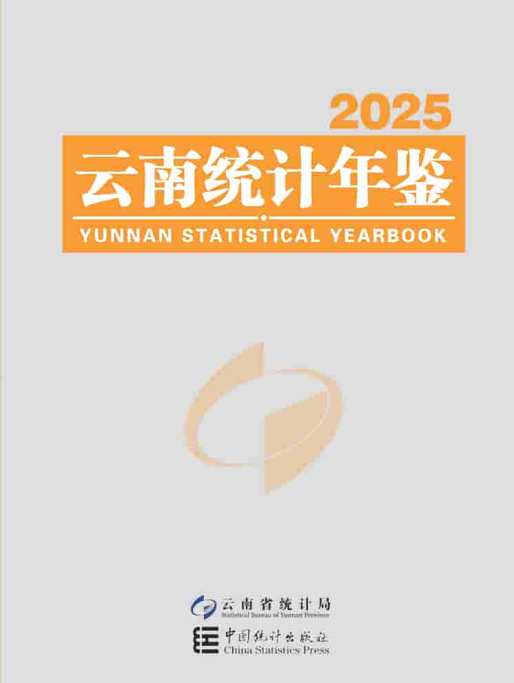 2025年云南统计年鉴封皮