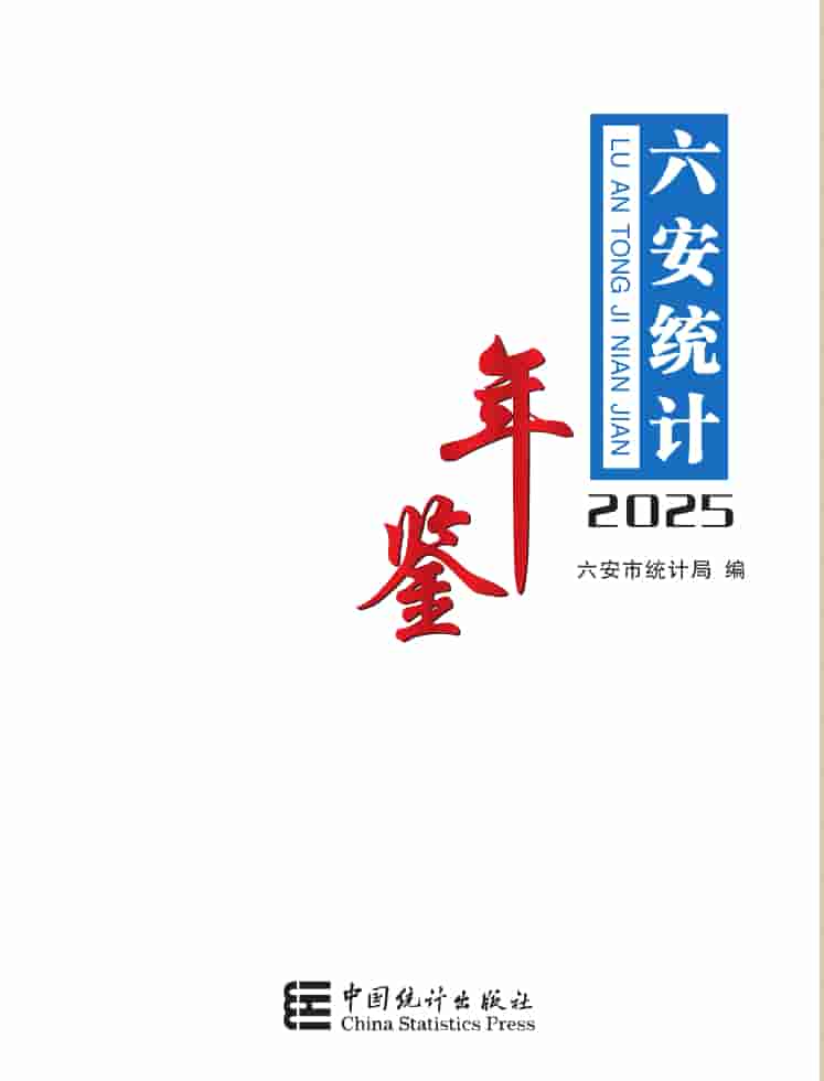 2025年六安统计年鉴封皮