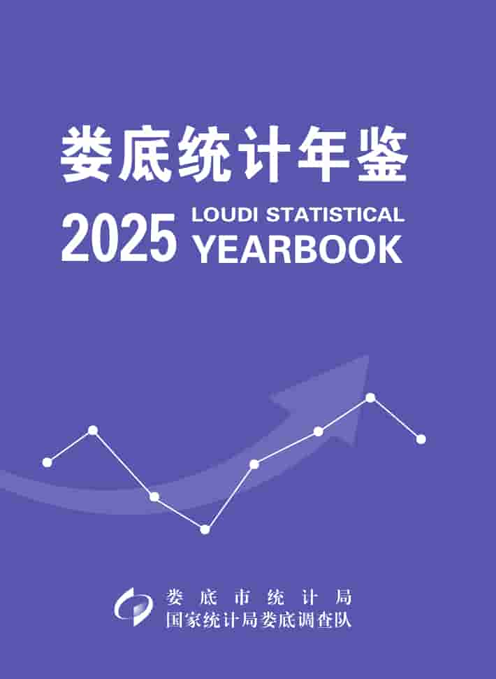 2025年娄底统计年鉴封皮