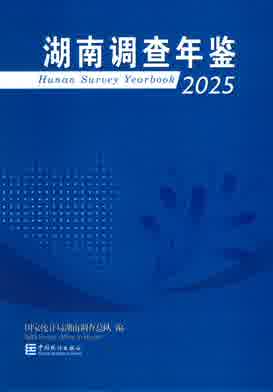 2025年湖南调查年鉴封皮