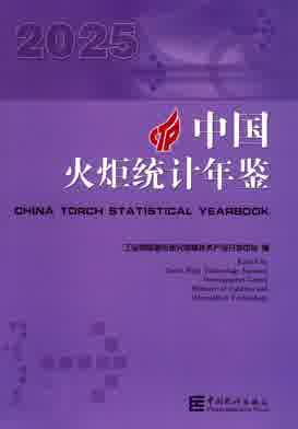 2025年中国火炬统计年鉴封皮