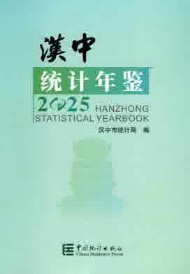 2025年汉中统计年鉴封皮