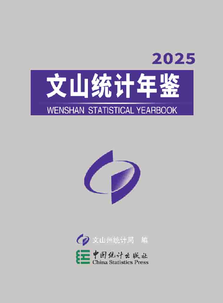 2025年文山州统计年鉴封皮